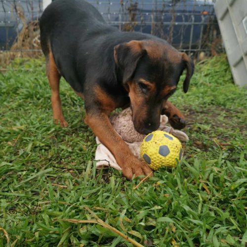 Happy, joyful, friendly, female