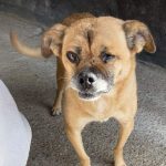 Small, friendly, female, tiny girl