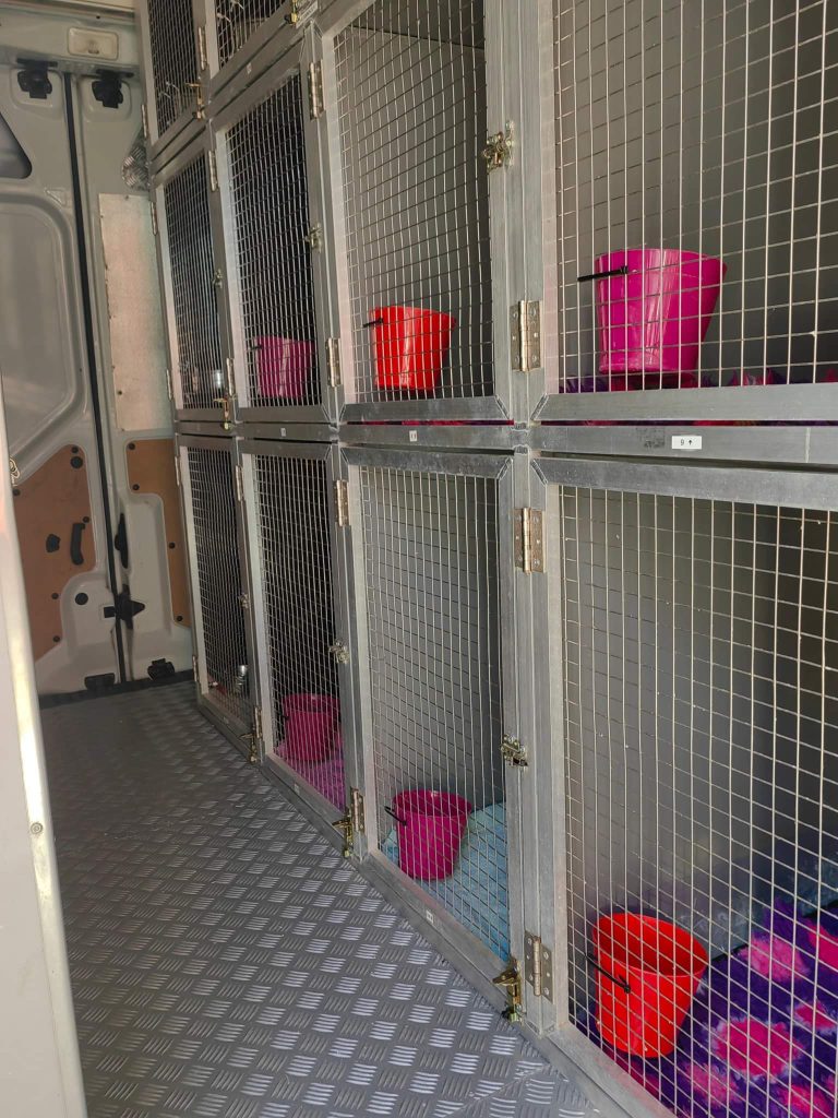 inside Romanian Rescue Bus transporting dogs to UK