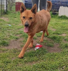 pretty, female, oldie, friendly