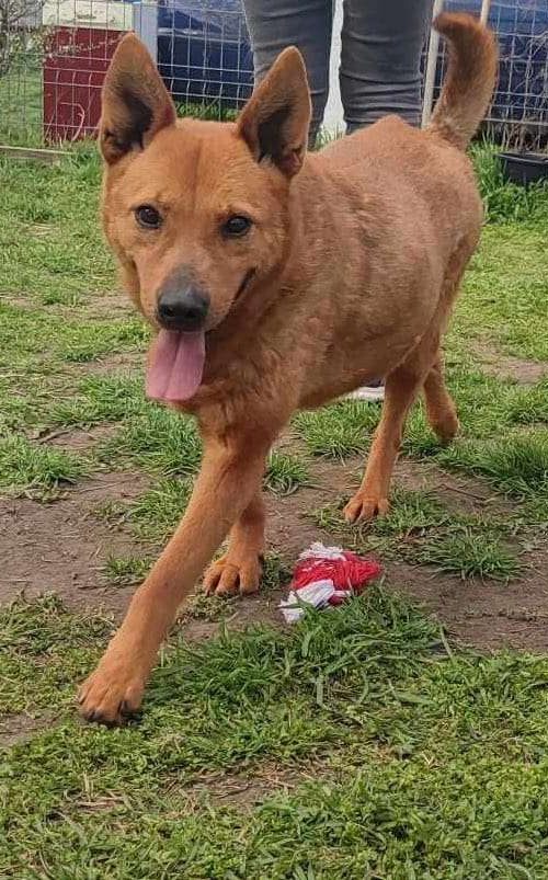 pretty, female, oldie, friendly