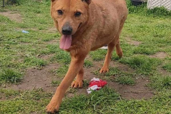 pretty, female, oldie, friendly